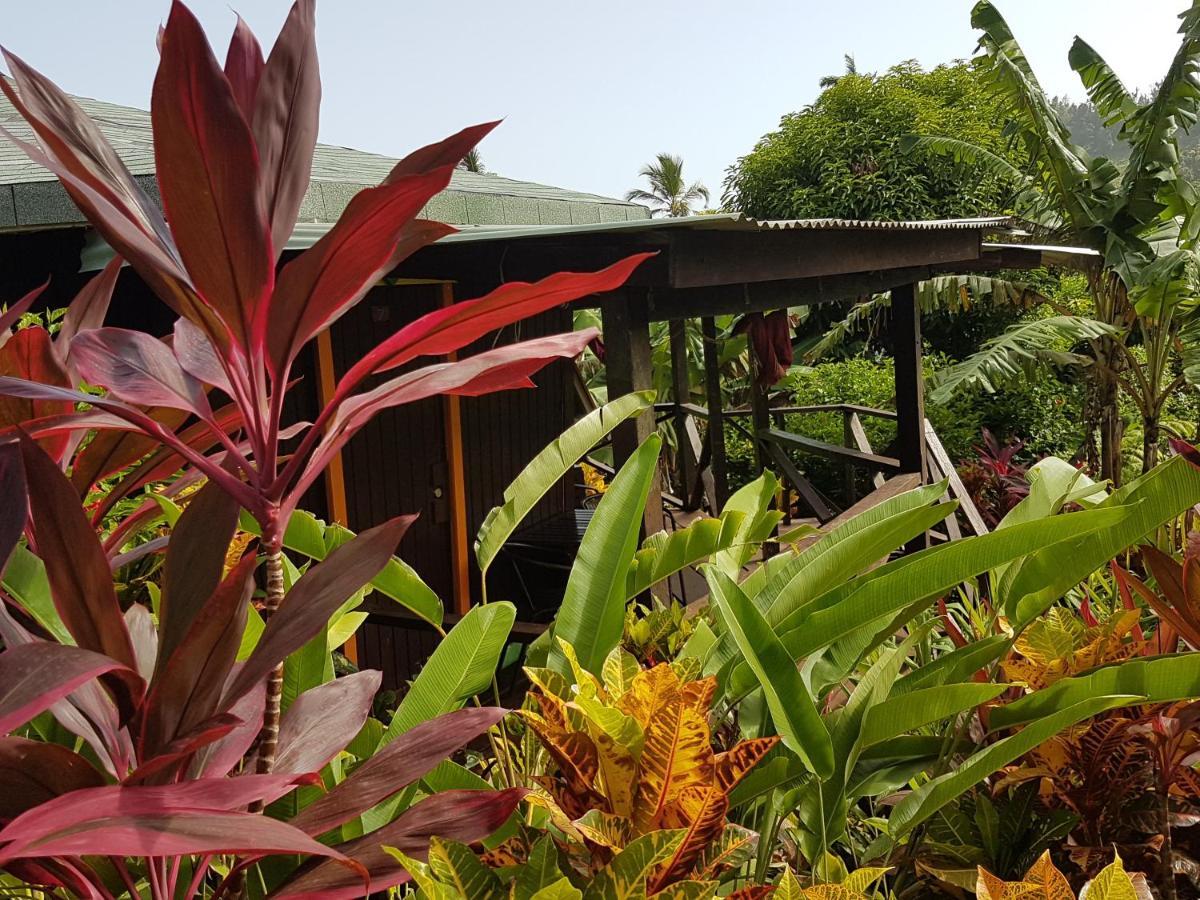 Hibiscus Valley Inn Marigot Εξωτερικό φωτογραφία
