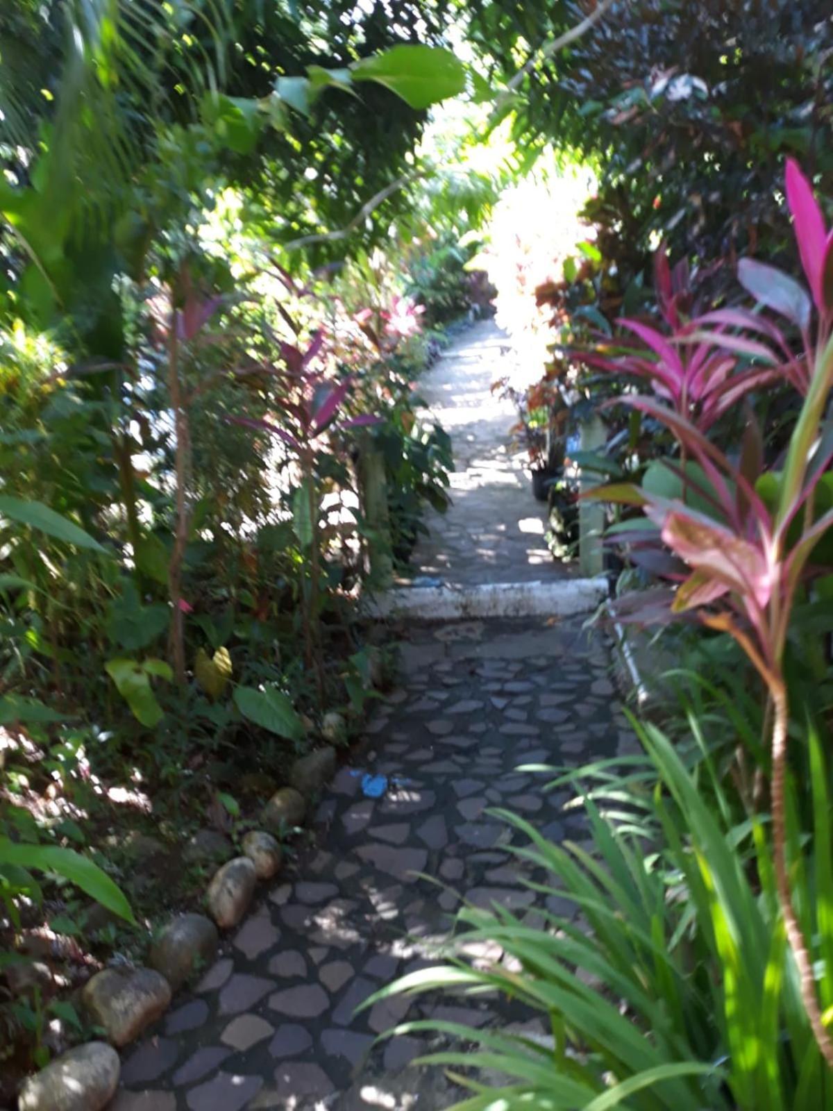 Hibiscus Valley Inn Marigot Εξωτερικό φωτογραφία