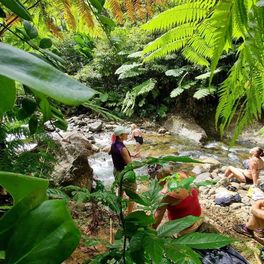Hibiscus Valley Inn Marigot Εξωτερικό φωτογραφία