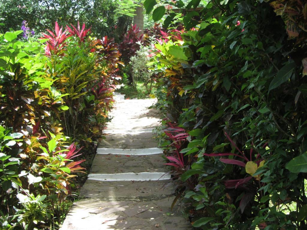 Hibiscus Valley Inn Marigot Δωμάτιο φωτογραφία
