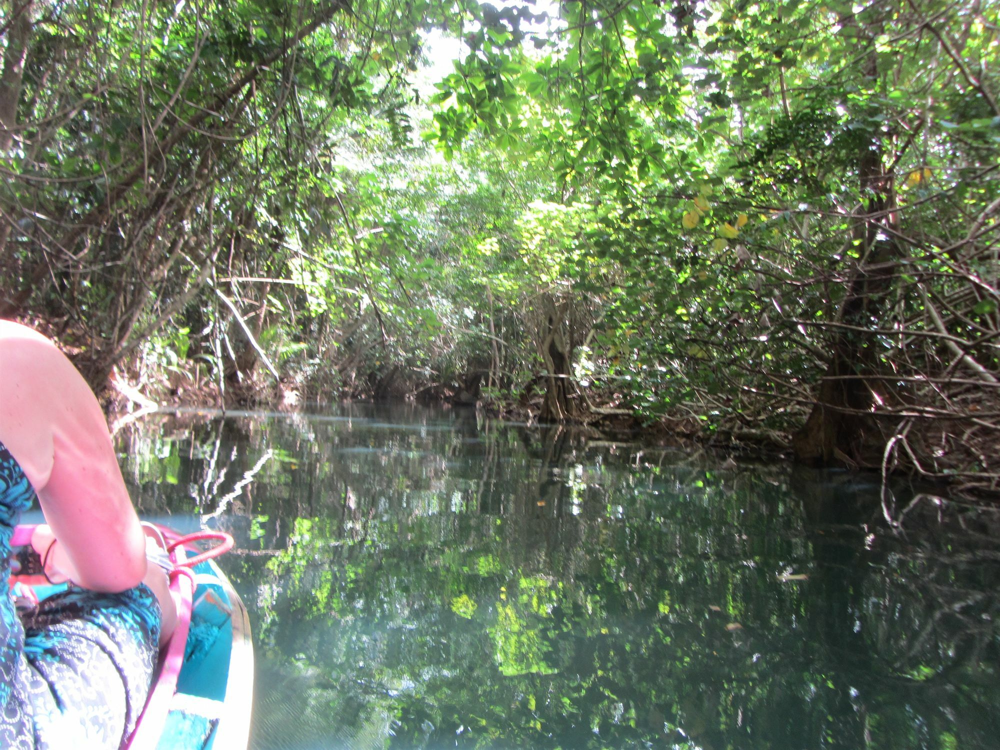 Hibiscus Valley Inn Marigot Εξωτερικό φωτογραφία