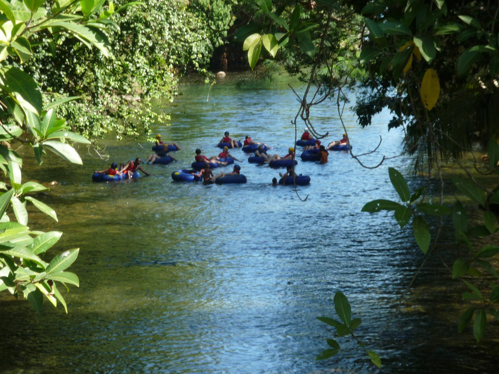 Hibiscus Valley Inn Marigot Εξωτερικό φωτογραφία