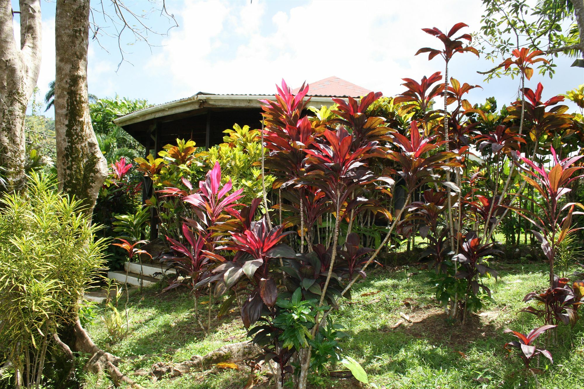 Hibiscus Valley Inn Marigot Εξωτερικό φωτογραφία
