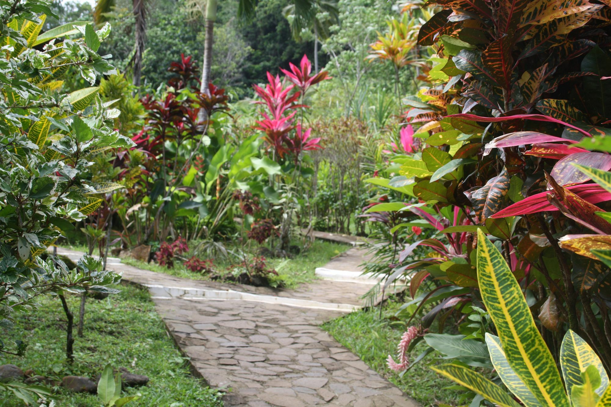 Hibiscus Valley Inn Marigot Εξωτερικό φωτογραφία