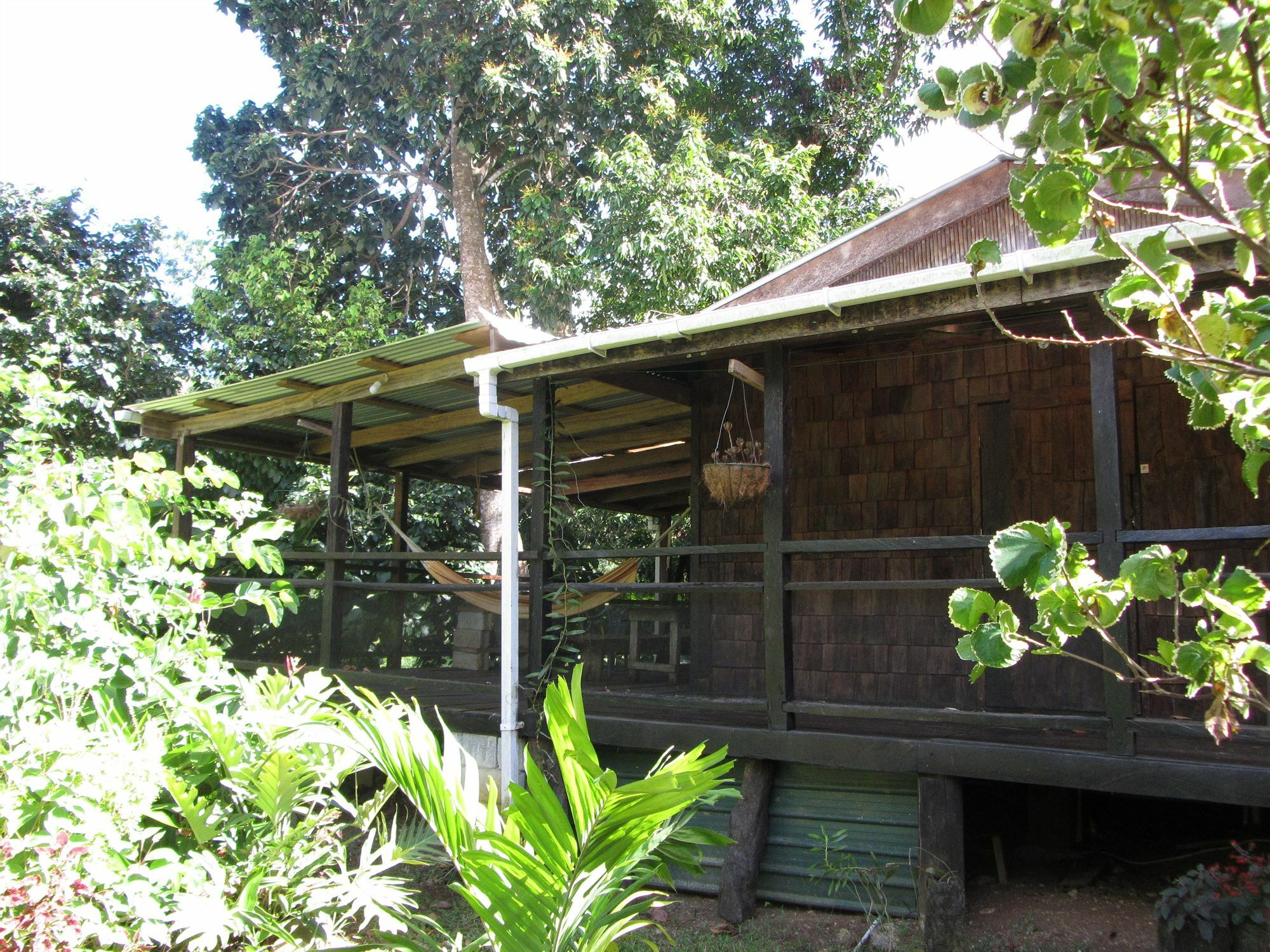 Hibiscus Valley Inn Marigot Εξωτερικό φωτογραφία